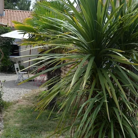 Le Logis Du Pertuis 200m Plage *