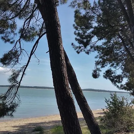Сasa de vacaciones Le Logis Du Pertuis 200m Plage Saint-Trojan-les-Bains